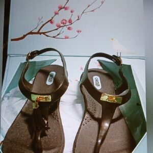 Brown Sandals with Gold Accents